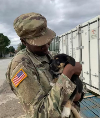 Illustration de l'article : Le combat d’une militaire pour adopter le chiot qu’elle a recueilli lorsqu’elle était en mission à l’étranger