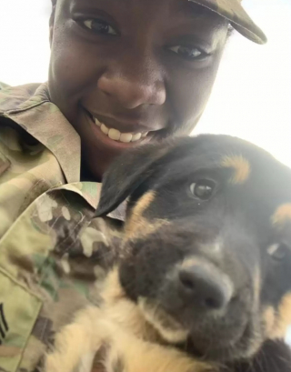 Illustration de l'article : Le combat d’une militaire pour adopter le chiot qu’elle a recueilli lorsqu’elle était en mission à l’étranger
