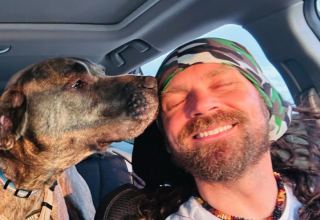 Illustration de l'article : Après plus de 400 jours passés au refuge, Moose, le Dogue Allemand, retrouve le sourire sur le chemin de sa maison pour la vie (vidéo)