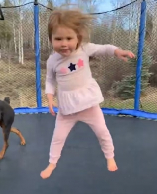 Illustration de l'article : La joie contagieuse d’une petite fille de 3 ans et d’une chienne Rottweiler, sa meilleure amie, lorsqu’elles partagent des moments de jeux sur leur trampoline (vidéo)