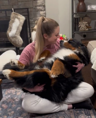 Illustration de l'article : Quand Annie, la chienne Bouvier Bernois rescap&eacute;e d&rsquo;un &eacute;levage intensif, se laisse bercer comme un b&eacute;b&eacute; (vid&eacute;o)