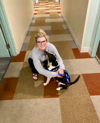 Illustration de l'article : Quand Blu, le chien errant, change le cours d’un week-end d’anniversaire surprise bien planifié 