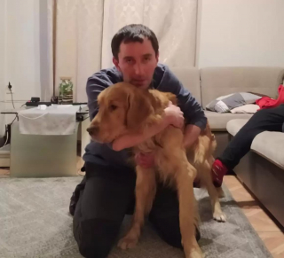 Illustration de l'article : Épuisé et émacié après une longue disparition en forêt, un Golden Retriever est retrouvé in extremis par un Jack Russel Terrier