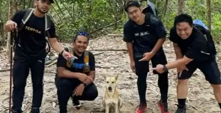 Illustration de l'article : Pali, le chien errant, s’improvise guide d’un groupe de 5 amis faisant une randonnée (vidéo)
