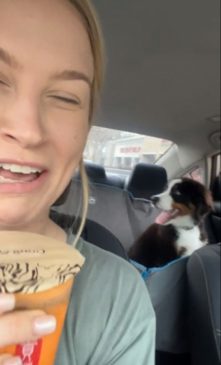 Illustration de l'article : Cette femme décide de surprendre son mari, en lui offrant un chiot Bouvier Bernois (vidéo)