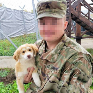Illustration de l'article : Strawberry, Luna Moon et Duchess, 3 chiots errants, peuvent commencer une nouvelle vie grâce aux militaires qui les ont recueillis