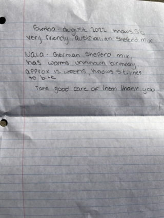 Illustration de l'article : Les bénévoles d’un refuge retrouvent 2 chiens abandonnés dans 2 cages, en compagnie d’un mot déchirant