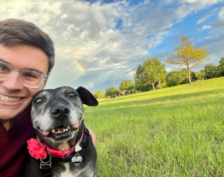 Illustration de l'article : Le moment émouvant où Terri, une chienne séniore qui a passé 7 ans dans un refuge, s’en va pour sa maison pour la vie