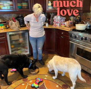 Illustration de l'article : Ce duo de Labradors inséparables s’illumine de joie en apprenant qu’ils sont adoptés par la même famille (vidéo)