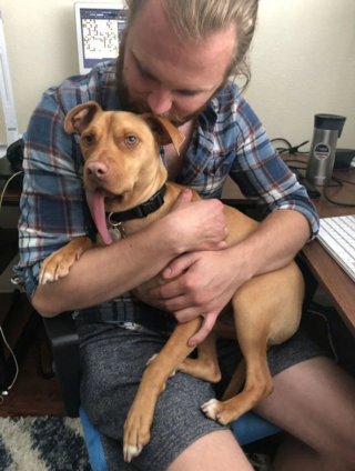 Illustration de l'article : Après plusieurs opérations, Bud, le croisé Bull Terrier à la langue pendante, peut compter sur le soutien de ses maîtres pour vivre normalement