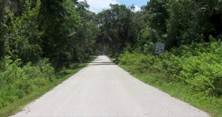 Illustration de l'article : Porté disparu depuis un an, Baxter, le croisé Pitbull, réapparait dans des circonstances révoltantes