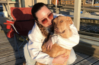 Illustration de l'article : Le combat de Jake, un chien errant sénior se battant contre un cancer d’une rare ampleur