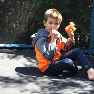 Illustration de l'article : Cette famille se voit refuser l’adoption d’un chien, en raison du handicap de leur fils de 9 ans