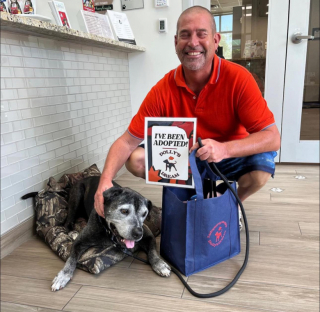 Illustration de l'article : Les adieux émouvants de General, un chien sénior âgé de 15 ans, qui quitte enfin le refuge où il a passé des années (vidéo)