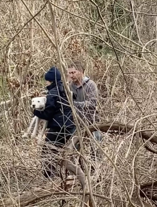 Illustration de l'article : Les touchantes retrouvailles entre une fratrie de 8 chiots et leur mère plus d’un an et demi après que chacun ait trouvé une famille