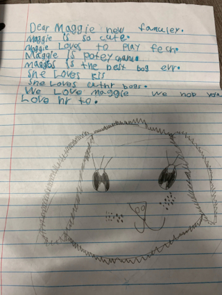 Illustration de l'article : Dans des lettres adressées à ses futurs adoptants, ce petit garçon fait l’éloge de la chienne qui était en accueil auprès de ses parents