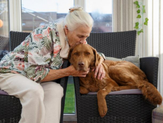 Illustration de l'article : Une femme âgée de 79 ans demande de l’aide pour payer les traitements médicaux de son chien, après qu’elle ait dépensé toutes ses économies