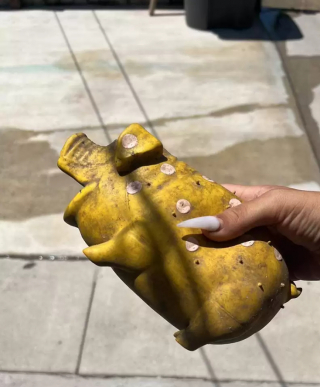 Illustration de l'article : Ce chien errant seul au bord d&rsquo;une autoroute trouve du r&eacute;confort aupr&egrave;s d&rsquo;un ami improbable (vid&eacute;o)