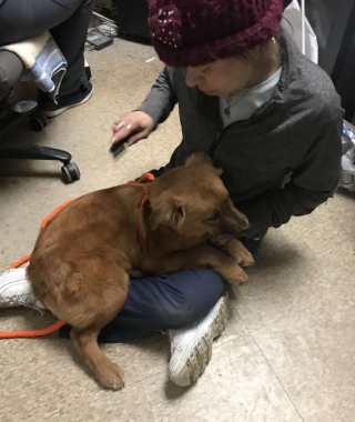 Illustration de l'article : Ces 2 chiots retrouvés enfermés avec leur mère dans des conditions déplorables, se réconfortent mutuellement pour affronter leurs peurs