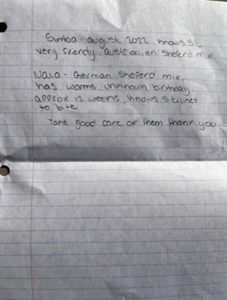 Illustration de l'article : Un refuge d&eacute;couvre 2 chiens en cage d&eacute;pos&eacute;s devant l&rsquo;&eacute;tablissement et accompagn&eacute;s d&rsquo;une lettre touchante