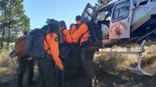 Illustration de l'article : Saul, le Border Collie, se transforme en héros après la chute de 21 mètres de son maître (vidéo)