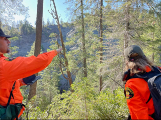 Illustration de l'article : Saul, le Border Collie, se transforme en héros après la chute de 21 mètres de son maître (vidéo)