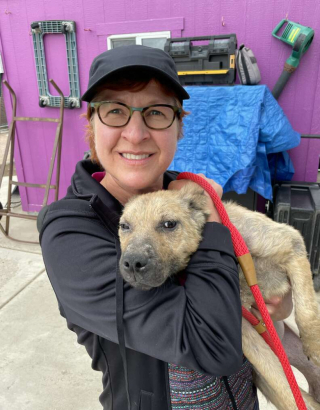 Illustration de l'article : Suite à un retard, une femme découvre un chien mal en point, qui attendait qu’on le sauve (vidéo)