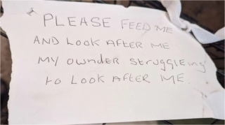 Illustration de l'article : Un propriétaire en difficulté abandonne ses chiens au bord d’une route, dans une cage endommagée