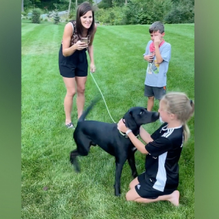 Illustration de l'article : Un couple adopte un chien de refuge et prépare une surprise émouvante pour ses enfants (vidéo)