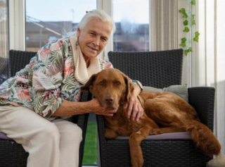 Illustration de l'article : Cette retraitée donne tout ce qu’elle a pour sauver son chien malade