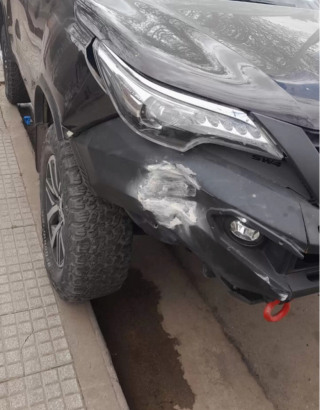 Illustration de l'article : Ce Golden Retriever facétieux tente de débuter une carrière en course automobile au grand dam de son maître