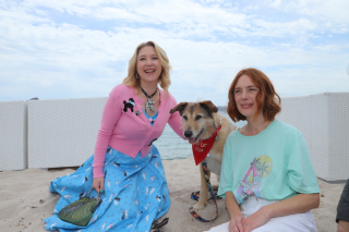 Illustration de l'article : Qui succédera à Kodi, du film « Le Procès du chien », lors de la Palm Dog 2025 ?