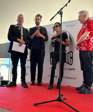 Illustration de l'article : Panda, sacré Palm Dog 2025 pour sa performance dans le film « The Love That Remains » de Hlynur Pálmason