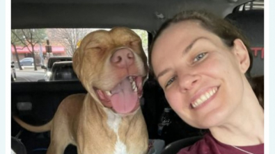 Illustration : Sur le point de partir dans sa famille d&rsquo;accueil, Ronnie, le chien de refuge, laisse &eacute;clater sa joie