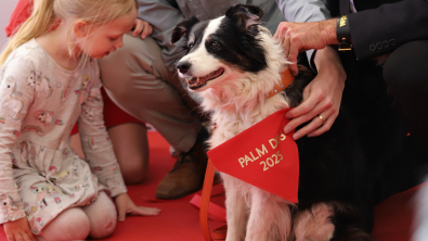 Illustration : Panda, sacré Palm Dog 2025 pour sa performance dans le film « The Love That Remains » de Hlynur Pálmason