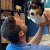 Illustration : "Ce chien sans pattes avant apporte un soutien émotionnel précieux aux enfants et leur apprend l'estime de soi"
