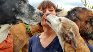 Illustration : "Installée depuis 7 ans dans une ferme avec ses 20 chiens, cette femme a 20 semaines pour trouver une nouvelle maison"