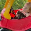 Illustration : "Cette petite fille de 4 ans noue une amitié incroyable avec 4 chiots abandonnés (vidéo)"