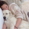 Illustration : "Ce Golden Retriever passe de “toutou à papa” à “toutou à maman” lorsque sa maîtresse tombe enceinte, et c’est adorable (vidéo)"