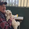 Illustration : "Depuis l’arrivée d’un chiot dans sa vie, ce grand-père de 96 ans semble rajeunir de jour en jour (vidéo)"